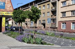 Výsadba v&nbsp;Michálkově ulici naváže na úspěšné revitalizace