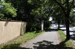 Výsadba v&nbsp;Michálkově ulici naváže na úspěšné revitalizace