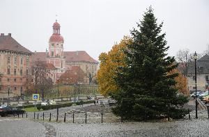 Roudnický advent zahájí trhy s&nbsp;rozsvícením stromu