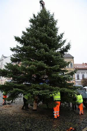 Roudnický advent zahájí trhy s&nbsp;rozsvícením stromu
