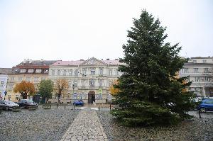 Roudnický advent zahájí trhy s&nbsp;rozsvícením stromu