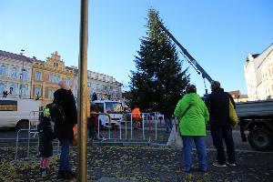Roudnice má svůj vánoční strom