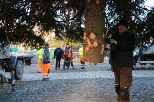 Roudnice má svůj vánoční strom
