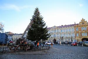 Roudnice má svůj vánoční strom
