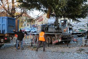 Roudnice má svůj vánoční strom