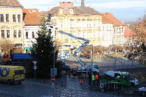 Roudnice má svůj vánoční strom