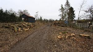 Proběhlo kácení lesního porostu v&nbsp;zahrádkářské oblasti