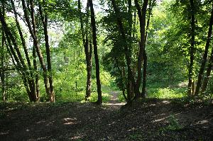 Hluboký park je opět bezpečný